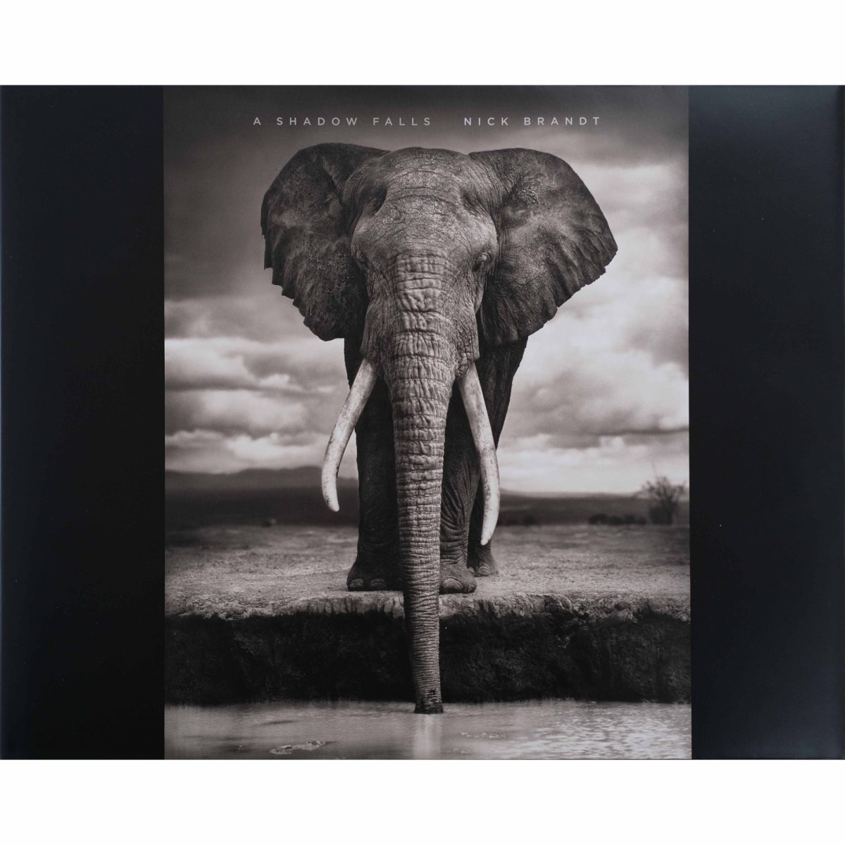 Photobook – Nick Brandt – A Shadow Falls